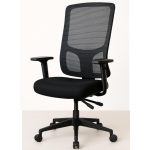 Cadeira de Escritório Tela PRYUS Back System – Cor Preto – 20099 RORIZ Móveis para Escritório Cadeira de Tela 12